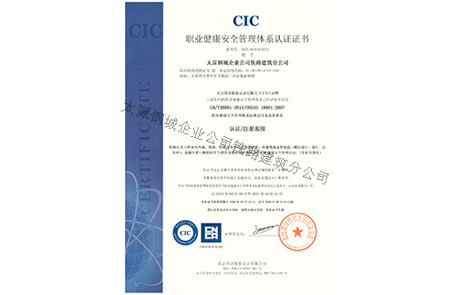 《职业健康******管理体力认证证书》